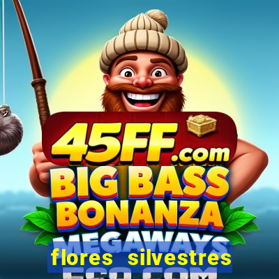 flores silvestres desbravadores desbravadores 25